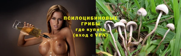 первитин Вяземский