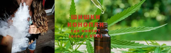 гидра Володарск