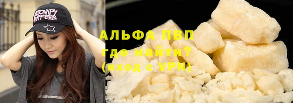 индика Вязники