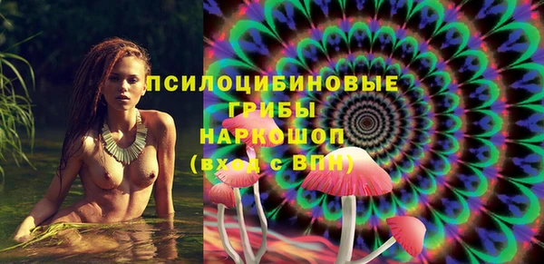 индика Вязники