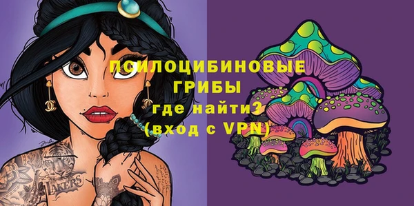первитин Вяземский