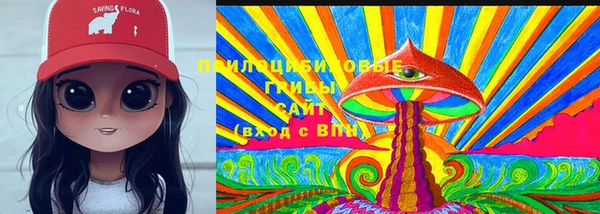 индика Вязники