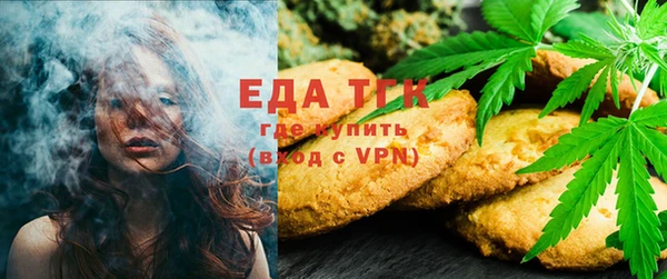 индика Вязники