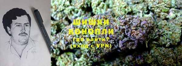гидра Володарск