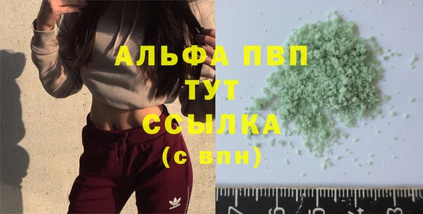 гидра Володарск